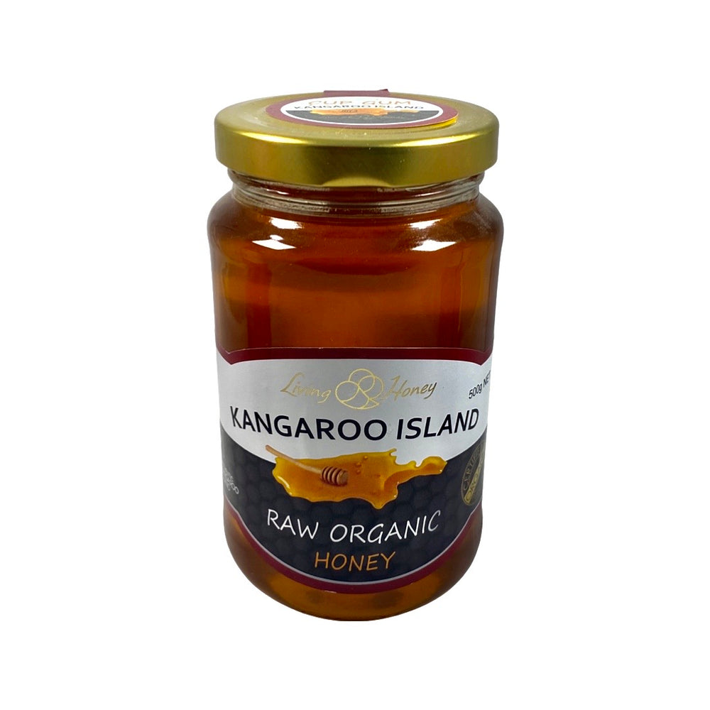 Raw Organic Honey (500g)