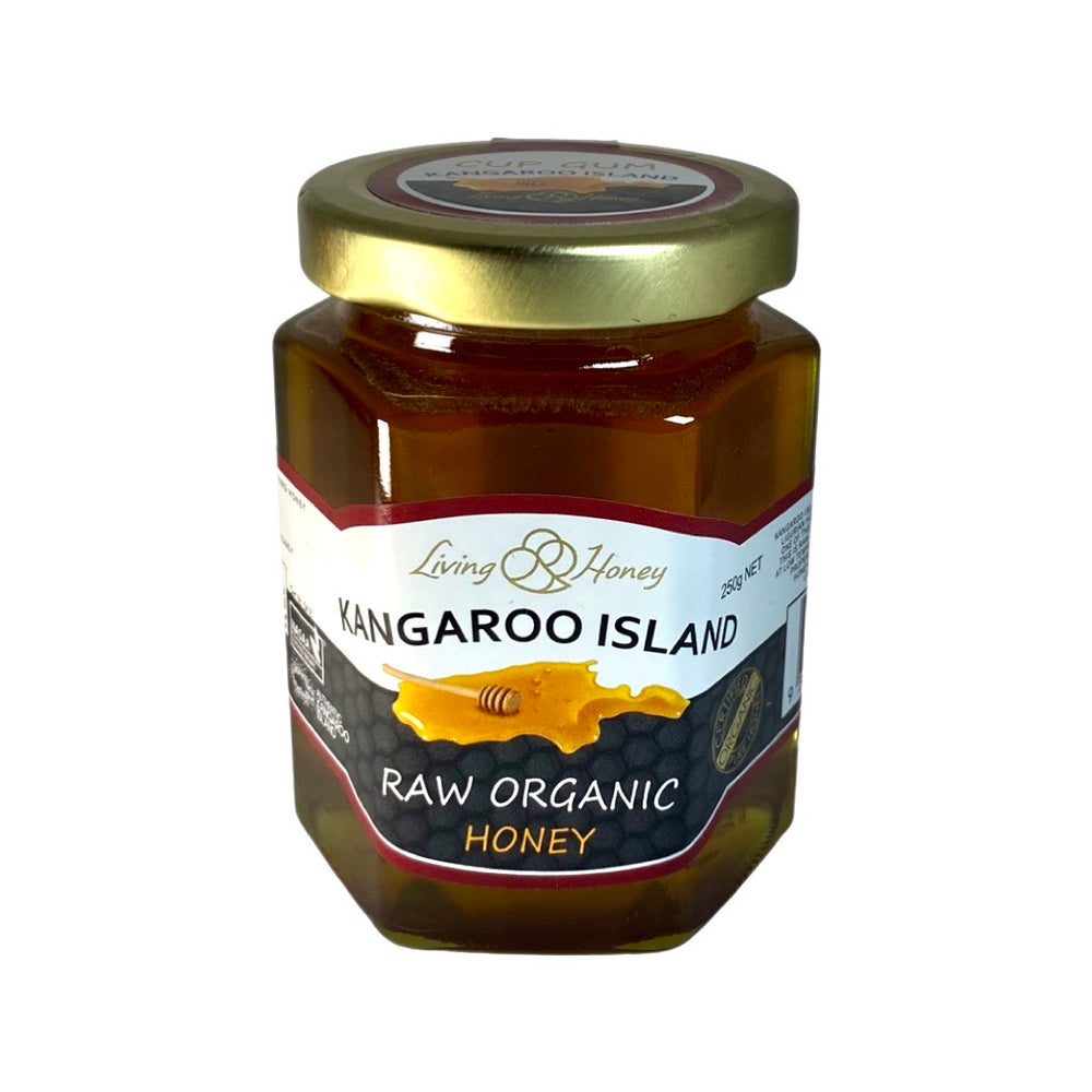 Raw Organic Honey (250g)